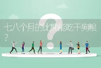 七八个月的比熊能吃干狗粮？