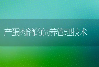 新购仔猪防疫四步走