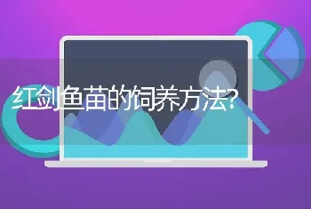 红剑鱼苗的饲养方法？