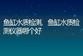 鱼缸水质检测，鱼缸水质检测仪器哪个好