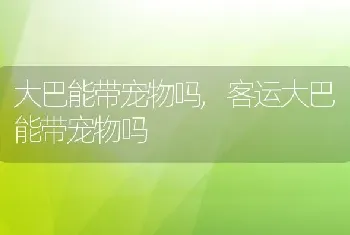 大巴能带宠物吗，客运大巴能带宠物吗