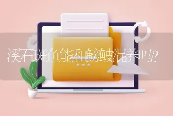 三湖慈鲷能和三间鼠混养吗？