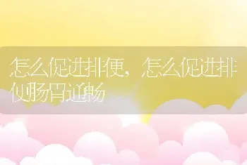 怎么促进排便，怎么促进排便肠胃通畅