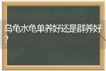 乌龟水龟单养好还是群养好？