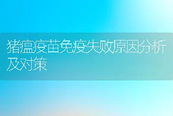 提高母猪产仔数应做到哪些管理措施？