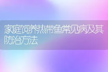 家庭饲养热带鱼常见病及其防治方法