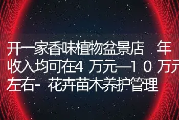 开一家香味植物盆景店年收入均可在4万元―10万元左右-花卉苗木养护管理