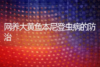 网养大黄鱼本尼登虫病的防治