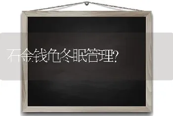 石金钱龟冬眠管理？