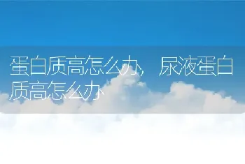 蛋白质高怎么办，尿液蛋白质高怎么办