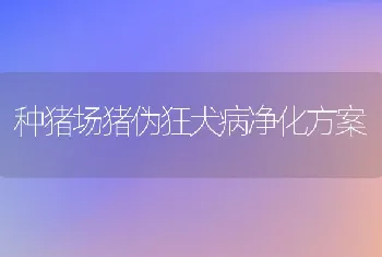 种猪场猪伪狂犬病净化方案