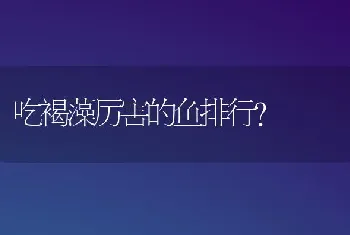 吃褐藻厉害的鱼排行？