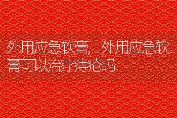 外用应急软膏，外用应急软膏可以治疗痔疮吗