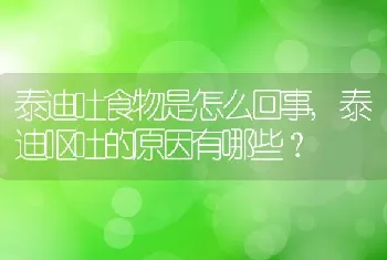 泰迪吐食物是怎么回事，泰迪呕吐的原因有哪些？