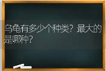 治疗细小最有效的方法？