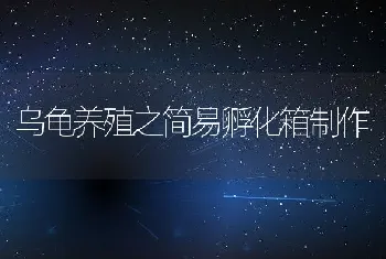 青虾的繁殖与苗种培育