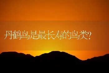 丹鹤鸟是最长寿的鸟类？