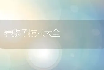 养蝎子技术大全