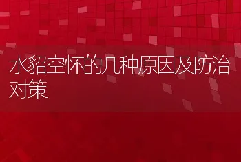 水貂空怀的几种原因及防治对策