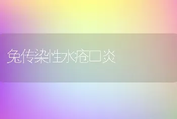 兔传染性水疮口炎