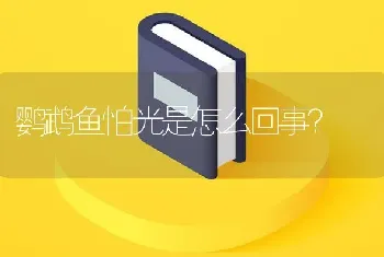 40背滤方缸可以养几条双带小丑鱼？