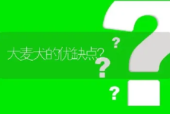 大麦犬的优缺点？