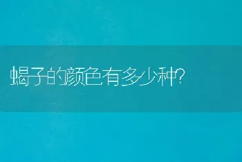 雪纳瑞小体与超小体区别？