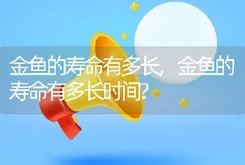 金鱼的寿命有多长，金鱼的寿命有多长时间？