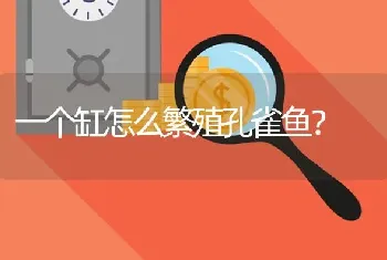 喜欢沙子的观赏鱼？