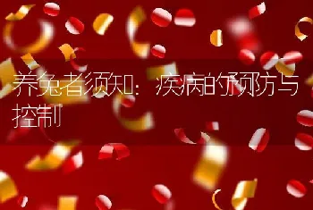 养兔者须知：疾病的预防与控制