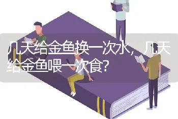 小金鱼可不可以吃稀饭？