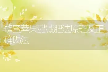 蜂蜜苹果醋减肥法原理及正确喝法