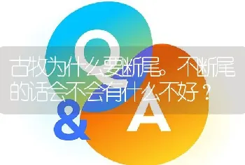 古牧为什么要断尾。不断尾的话会不会有什么不好？