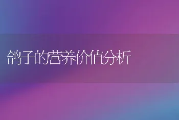 鸽子的营养价值分析