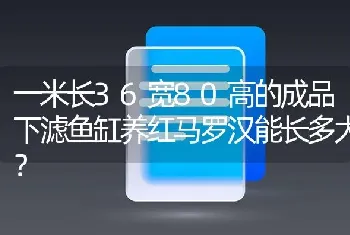 一米长36宽80高的成品下滤鱼缸养红马罗汉能长多大？