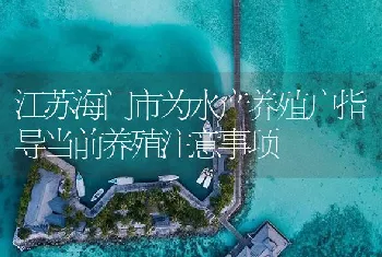 江苏海门市为水产养殖户指导当前养殖注意事项