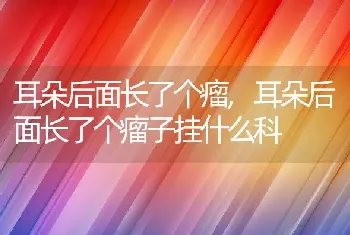 耳朵后面长了个瘤，耳朵后面长了个瘤子挂什么科