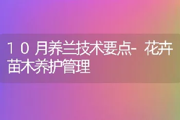 10月养兰技术要点-花卉苗木养护管理