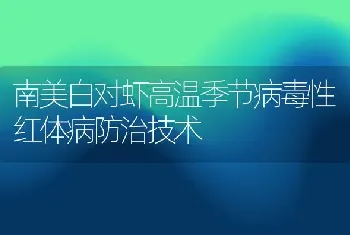 南美白对虾高温季节病毒性红体病防治技术