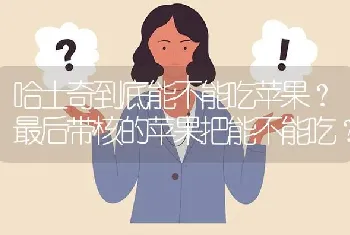 哈士奇到底能不能吃苹果？最后带核的苹果把能不能吃？