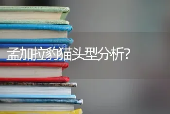 吉娃娃惊吓过度抽搐嘴里吐白沫，有救吗？