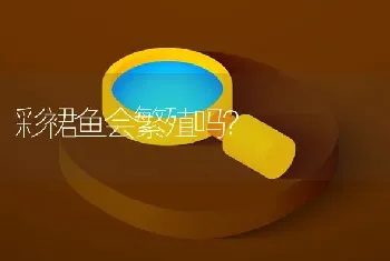 家里水里养的除了鱼还可以养什么？