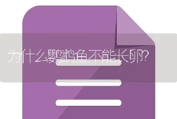 为什么鹦鹉鱼不能长卵？