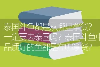 泰国斗鱼都是从哪里拿货？一定要去泰国吗？泰国斗鱼中品质好的鱼都是在哪拿货？