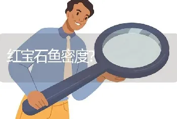 红宝石鱼密度？