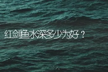 红剑鱼水深多少为好？