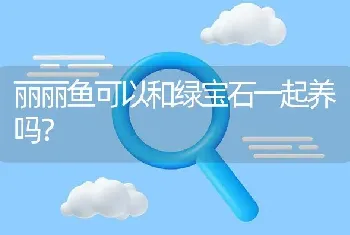 丽丽鱼可以和绿宝石一起养吗？