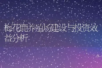 梅花鹿养殖场建设与投资效益分析