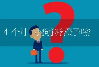 4个月 小狗能吃橙子吗？