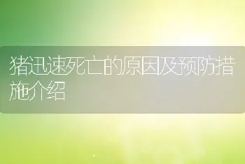 猪迅速死亡的原因及预防措施介绍